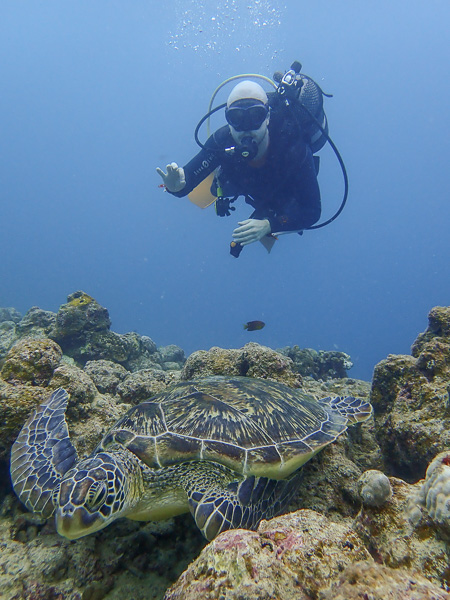 風が強くなる前に海を楽しむ